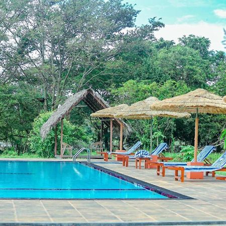 Sigiriya Peacock Homestay Εξωτερικό φωτογραφία