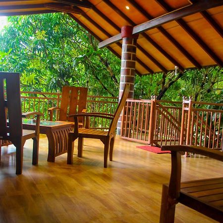 Sigiriya Peacock Homestay Εξωτερικό φωτογραφία