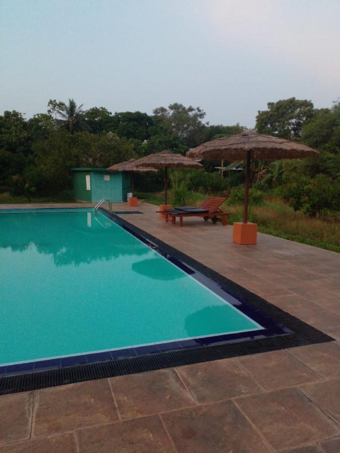 Sigiriya Peacock Homestay Εξωτερικό φωτογραφία