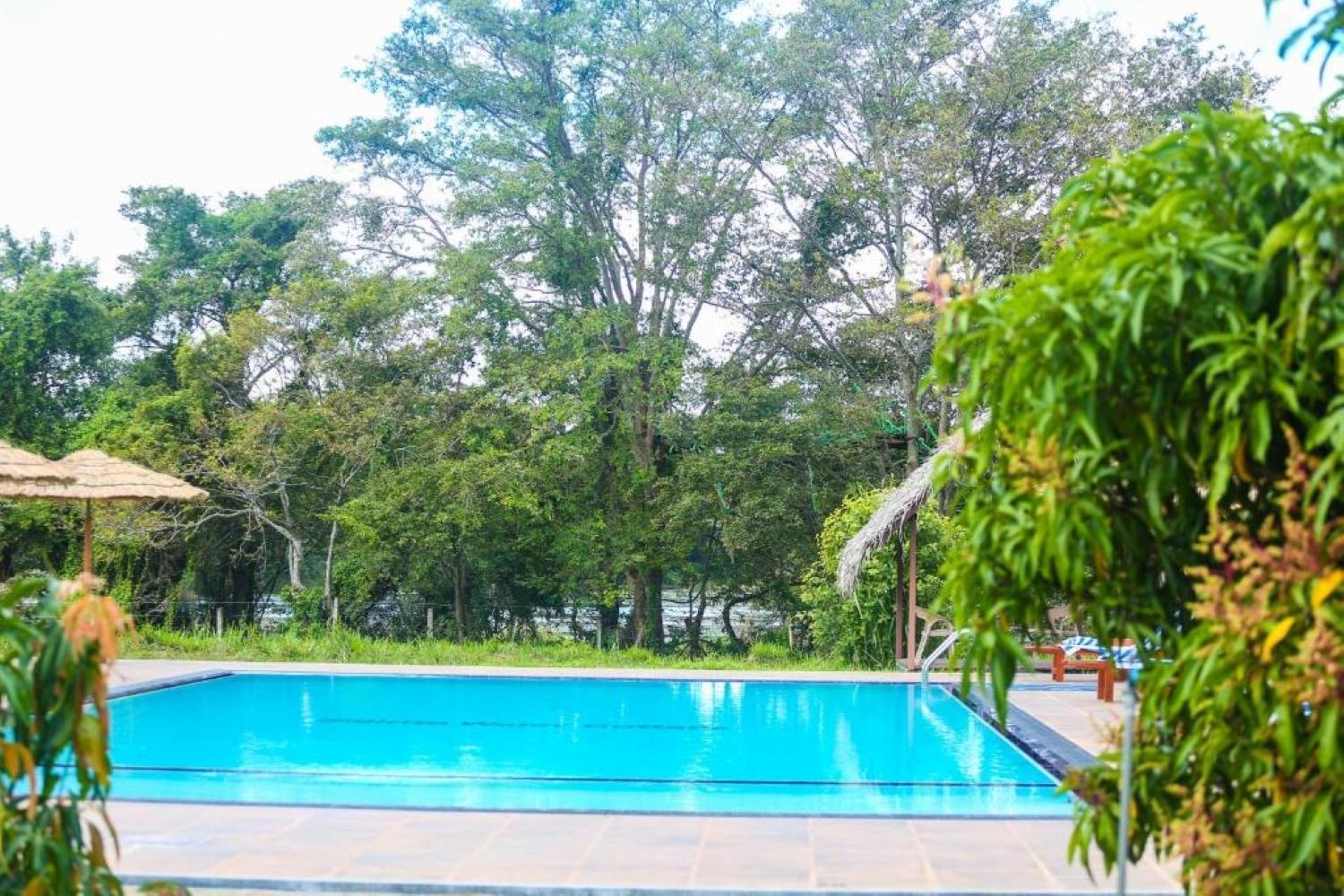 Sigiriya Peacock Homestay Εξωτερικό φωτογραφία