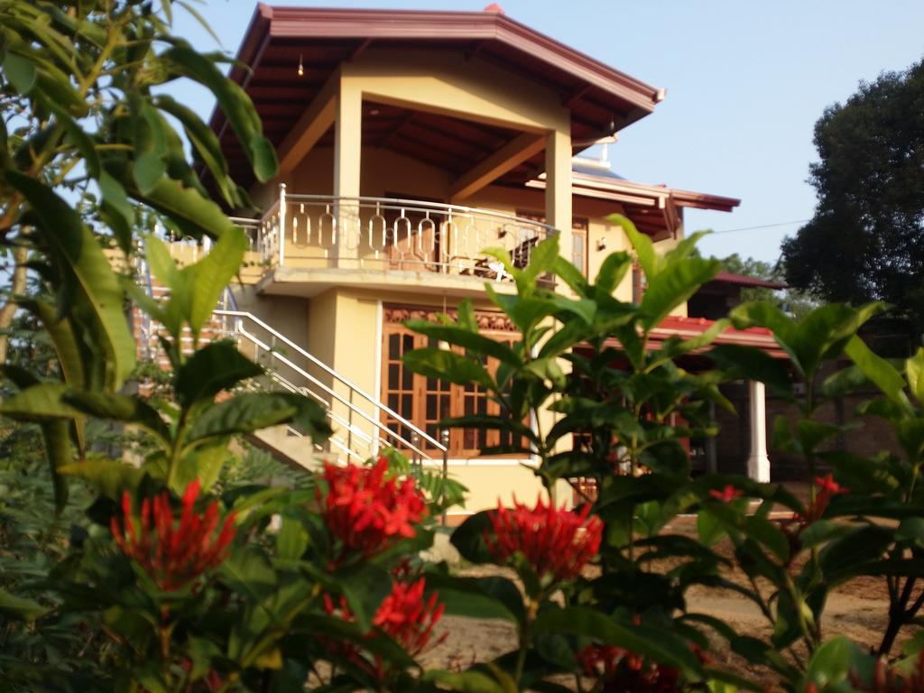 Sigiriya Peacock Homestay Εξωτερικό φωτογραφία