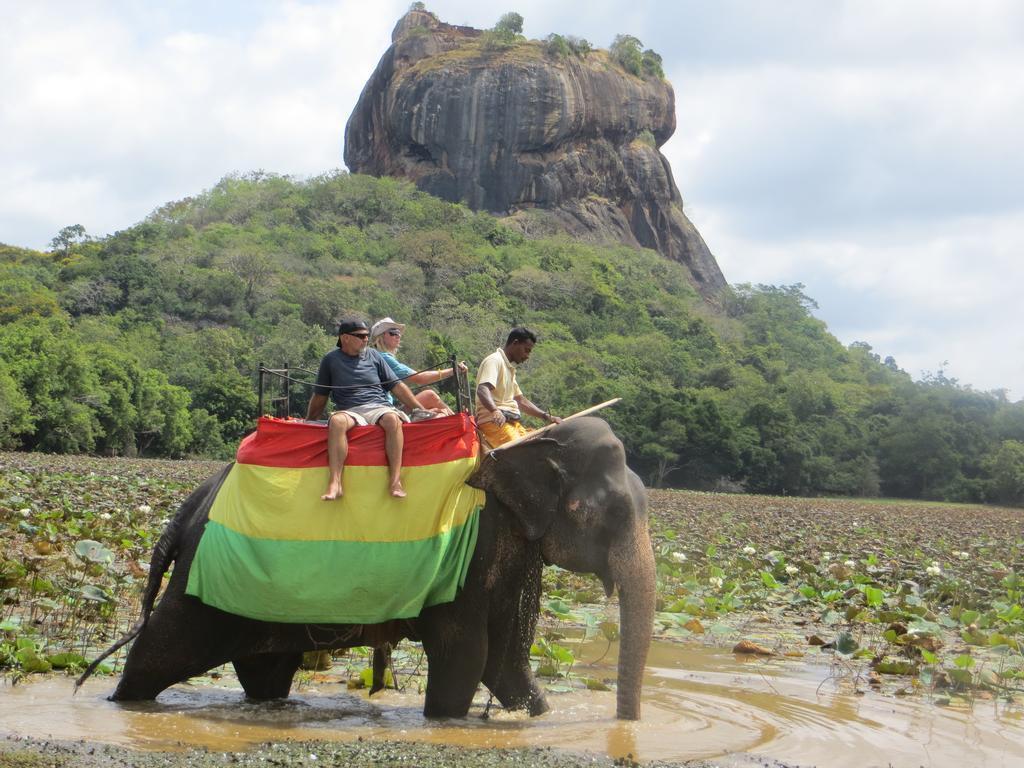 Sigiriya Peacock Homestay Εξωτερικό φωτογραφία