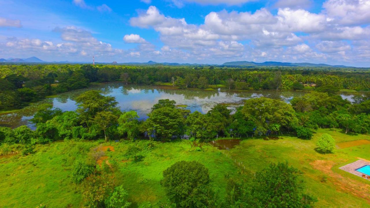 Sigiriya Peacock Homestay Εξωτερικό φωτογραφία