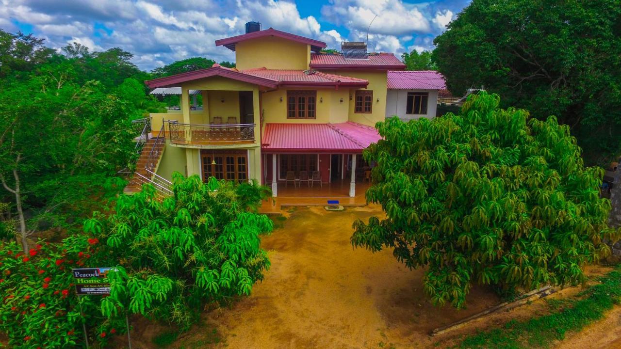 Sigiriya Peacock Homestay Εξωτερικό φωτογραφία