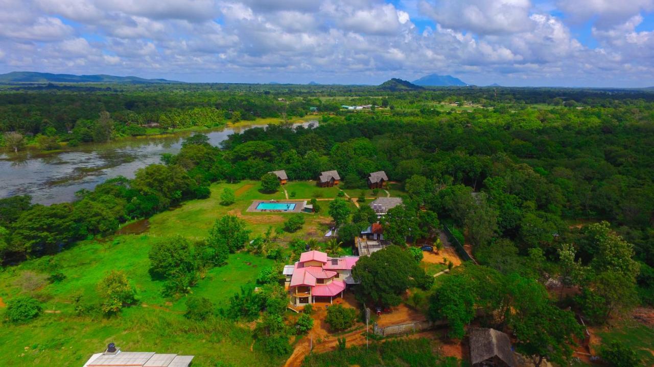 Sigiriya Peacock Homestay Εξωτερικό φωτογραφία